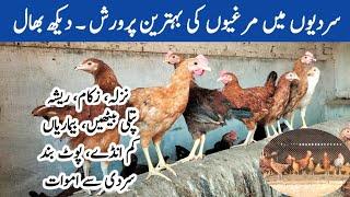 Poultry Farming in Winter Season | How to Take Care of Hens in Winter | Dr. ARSHAD