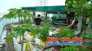 VƯỜN CỘNG ĐỒNG giữa lòng thành phố | Thành phố ấm áp tình người | VTV9