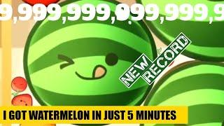  Fastest record in Watermelon Go - Roblox | how to get watermelon quickly | Fruit Game