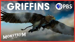 Why Has the Majestic Griffin Been Forgotten? | Monstrum