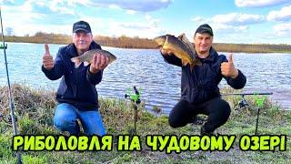 КАРАСІ ЯК КОРОПИ НА ЦІКАВОМУ ОЗЕРІ / КЛАСНА РИБОЛОВЛЯ І ЧУДОВА ПРИРОДА