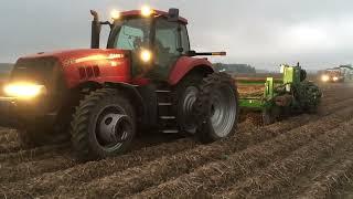 2018 Potato Harvest   HAFNER SEED FARMS