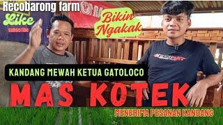 MAS KOTEK KETUA GATOLOCO ‼️‼️     JUGA MELAYANI PEMBUATAN KANDANG KAMBING ‼️‼️