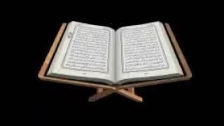 بصوت الشيخ الغامدي koran karim - OhiboKA Filah القران الكريم كامل