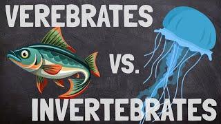 Classifying Animals as Vertebrates and Invertebrates