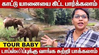 டாப் ஸ்லிப் -2  | Top Slip Vlog | London Climate | Travel Vlog | Tour Baby | Umapathy Krishnan