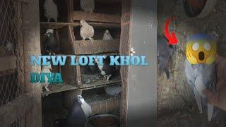 kabutar Ne maar Diya kabutar ke bacche ko #viralvideo #pigeon #vlog #tending #subscribe