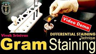 GRAM STAINING | Bacterial Staining Technique | Microbiology | Vivek Srinivas | #Bacteriology