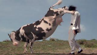 Kung Pow: Enter the Fist (2002) Cow Fight Scene | Funny Movie | Hollywood Funny Parody Film | Ful HD