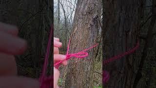 Unlock the Secrets of the Tautline Hitch for Ultimate Hiking Success