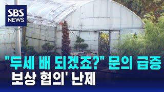 "두세 배 되겠죠?" 문의 급증…보상 협의' 난제 / SBS