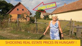 SHOCKING HOUSE PRICES IN HUNGARY | FULL TIME VANLIFE | TRAVEL VLOG 32