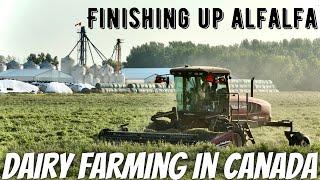 Cutting Hay, Prepping Balers, Combining Rye!