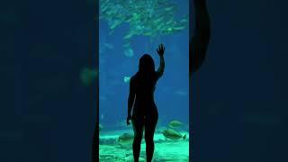 Dubai Aquarium #saintsworld #fyp #tiktoktravel #travel #dubai #dubaiaquarium