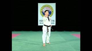 WTF Taekwondo - Taegeuk 5 Jang