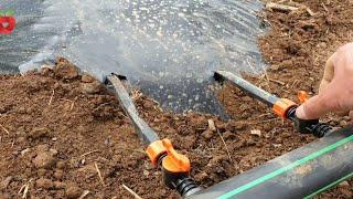 Make it easier to grow vegetables and prevent weeds from growing with PVC foil