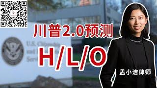 川普2 0预测：对H L O的影响