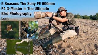 5 Reasons Sony 600mm F4 G-Master Is The Ultimate Bird Photography Lens