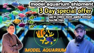 fish aquarium saddar || model aquarium saddar fish aquarium market Karachi latest update price 