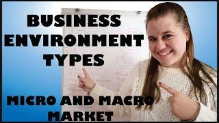 Business Environment Types Overview Lesson for Grade 10, 11 and 12