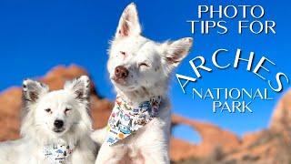 Dog Friendly Road Trip - Ep 5 | Arches National Park