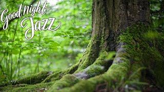 Morning jazz music for positive energy [2Hours 作業用BGM]