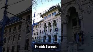 Primaria București #shorts #video