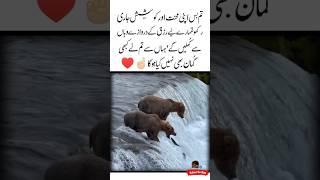 Rizk Ke Darwaze Islamic Quotes About Life | Urdu Poetry | Love Lines | Motivational Words #shorts