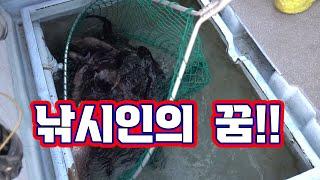 사 먹을래야 파는데가 없다!! 꿈의 물고기!! 넣기만 하면 나온다 !/While fishing on the boat, delicious fish keeps coming up.