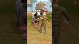 El Bufalo | The Buffalo fighting  with a people and Gazelle-#gaming #topgames #gameplay #viralgames