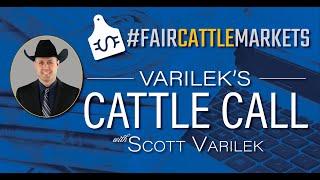 #FairCattleMarkets Varilek's Cattle Call - July 26, 2024