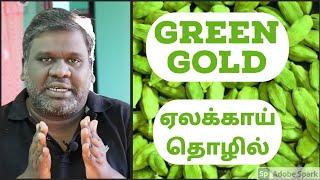 Cardamom Business Plan In Tamil | Per Day Income Rs.20k | Unknowing Elakkai Market Secrets | Eden Tv