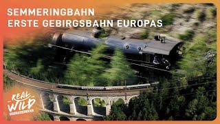 Die atemberaubende Semmeringbahn: Ein Weltkulturerbe | Real Wild Deutschland