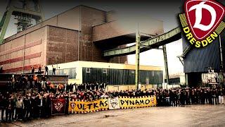 Dynamo Dresden - Ultras, Fans, Hooligans