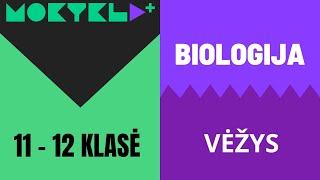 Mokykla+ | Biologija | 11 - 12 klasė | Vėžys || Laisvės TV X