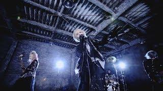 Royz「AREA」MUSIC VIDEO