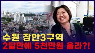 그리고 민주당이 정권을 잡는다면 부동산 시장은?!