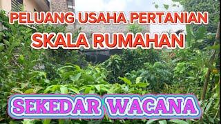 PELUANG USAHA PERTANIAN SKALA RUMAHAN