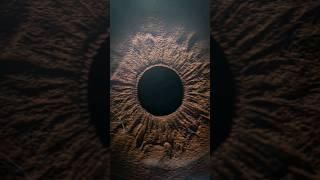 Ultra macro photo of the dark EYE #eyes #iris #photography #macro #macrophotography #shorts #photo