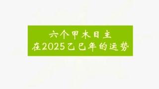 甲木日主在2025乙巳年的运势走向！