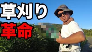 これを使えば草刈りが楽ちんに？(RICE IS COMEDY®︎)