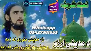 new best pashto naat sharif by hanfi janan|| salman haqyar malang|| da madine arman