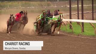 Video: Chariot racing