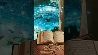 Quran Paak Ki 8 khubsurat  Bate#islamic#shorts#ytshorts#islamicshorts #beautifulwords#allah#trending