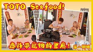 Foyce Finds Fresh Seafood, Quality Zhi Char At Pet-Friendly TOTO Seafood | Foyce In The City
