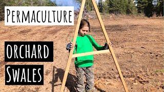 Permaculture Orchard: Developing Swales On Contour