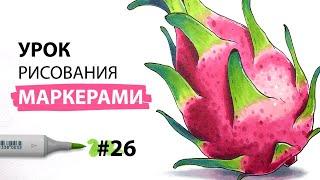 Как нарисовать драгонфрут / питайю? / Урок по рисованию маркерами для новичков #26