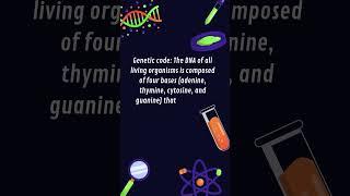 #GeneticCode #DNA #adenine, #thymine, #cytosine, and #guanine #shorts