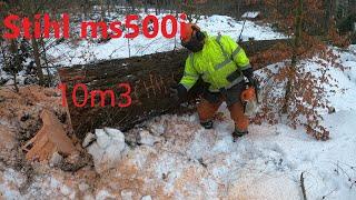 Daglezja 10m3 ?!, Stihl ms 500I