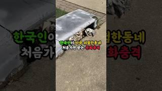 한국인이 미국 위험한동네 처음가면 받는 문화충격